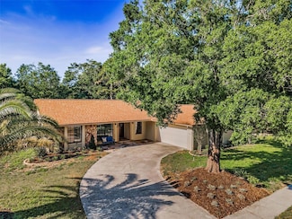3041 Oak View Dr, Palm Harbor, FL 34684