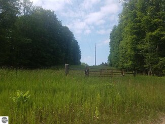 0 Valencourt Rd Unit 1835193, Copemish, MI 49625