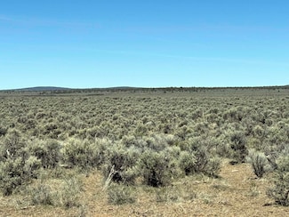 0 Browns Valley Rd Unit TL 1403 220196218, Christmasvalley, OR 97641