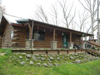 9557 E Anthony Rd, Branch, MI 49402