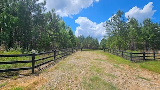 3.213 Acres County Road 13, Ozark, AL 36360