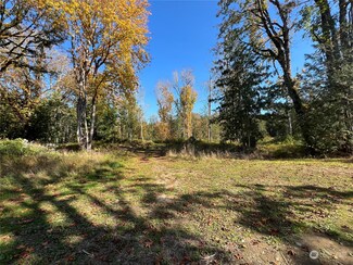 147 Tree Haven Rd, Quilcene, WA 98376