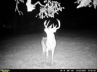 198th Ave, Decorah, IA 52101