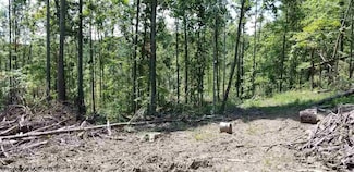 4acre Halleck Rd, Morgantown, WV 26508