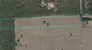 TBD NW 20th St, Bell, FL 32619