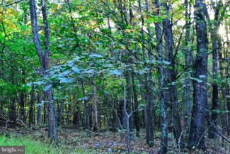 Lot 2 Smokey Shire, Cross Junction, VA 22625