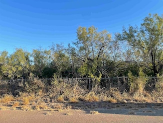 Lots 6 -8 Falcon Mesa, Zapata, TX 78076