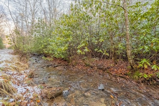 0 Wyrick Trail, Bland, VA 24315