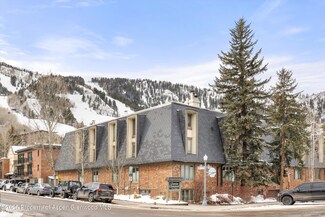 731 E Durant Ave Unit 22, Aspen, CO 81611