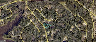 V/L 161 Misty Harbor Blvd, Woodbine, GA 31569