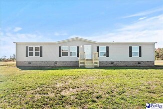 1549 Patty Rd, Cades, SC 29518