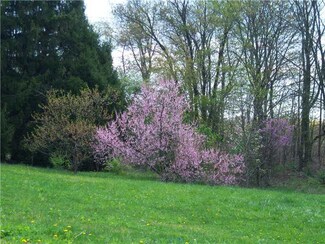 261 Lutheran Church Rd, Smithfield, PA 15478