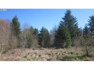 0 Enchantment Ln Unit 15061293, Vader, WA 98593