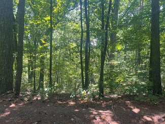 0 Ruby Ridge Dr Unit 407299, Talking Rock, GA 30175