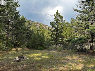 758 Basin Dr, Cotopaxi, CO 81223