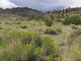 0 Cattle Drive Rd Unit 743991, Del Norte, CO 81132