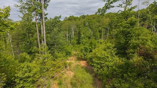TBD Cove Gap Rd, Moravian Falls, NC 28654