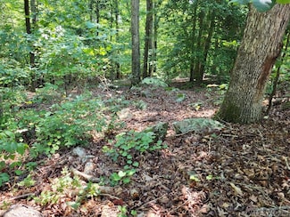 0 Weanock Ln Unit 138103, Ebony, VA 23845