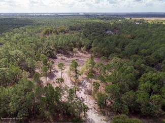 15255 91st St, Fellsmere, FL 32948