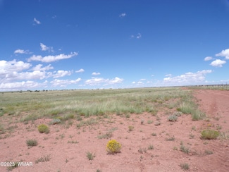 0 Acr N9125 Ranch Rd Unit 244424, Concho, AZ 85924