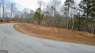 LOT 43 Bucktail Way, Talking Rock, GA 30175