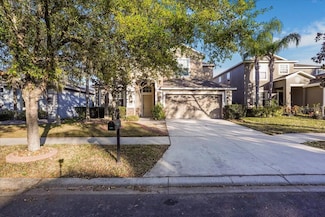 20427 Carolina Cherry Ct, Tampa, FL 33647
