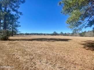 0 Ms-63 Unit 4104917, Lucedale, MS 39452