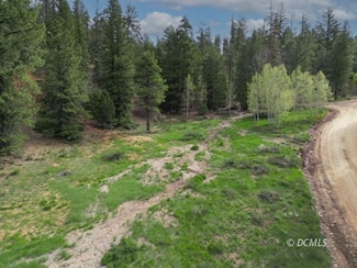 3235 Spruce Dr, Duck Creek, UT 84762