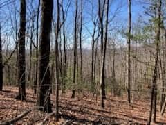 965 Old Parker Terrace, Ellijay, GA 30540