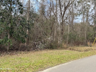 6327 Apelehama Rd, Diamondhead, MS 39525