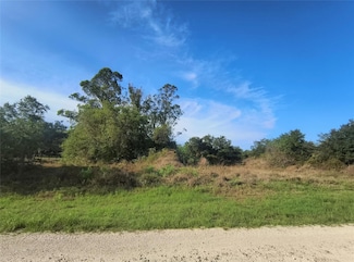 254 Avenue Del Centro, Montura, FL 33440