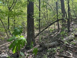 0 Hide Away Dr, Guntersville, AL 35976