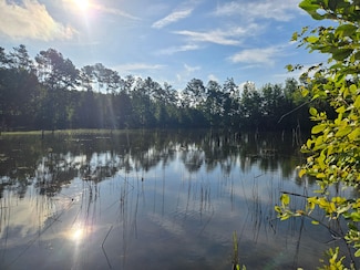 0 County Road 823 Unit 24237109, Wadley, AL 36276