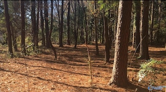 2.4 ACRES Linde St NW, Huntsville, AL 35810