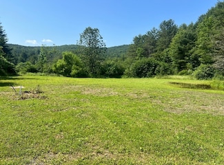 538 Hargrave Rd, Windsor, NY 13865