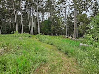 2988 Cedar Rd, Rosholt, WI 54473