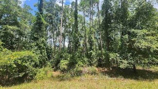 130 Helen Ave, Georgetown Cove, FL 32139