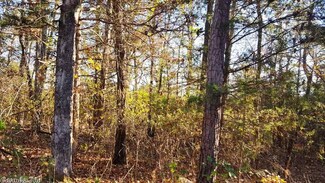 0 Pierson Rd Unit 16033924, Evening Shade, AR 72532