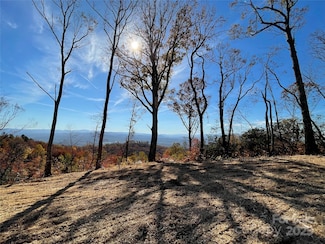 Lot 50 Mountain Grove Ln Unit 50, Fletcher, NC 28732