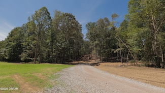 2114 Eldie Foster Rd, Pocahontas, TN 38061