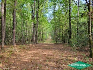 0 Louisiana 160, Cotton Valley, LA 71018