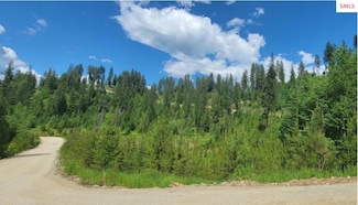 NNA Falcon Ridge Drive-#2, Naples, ID 83847