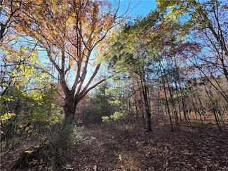 147 Clark Hollow Rd, Pine City, NY 14871