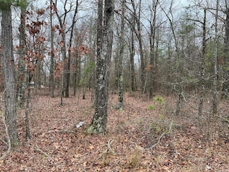 00 Ridgway Rd, Pine Bluff, AR 71603