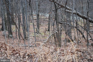 Lot #1 Terrain Dr, Hedgesville, WV 25427