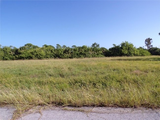 13384 Alewife Ln, Cape Haze, FL 33946