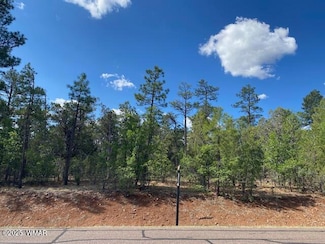 2400 S Monkshood Rd, Show Low, AZ 85901