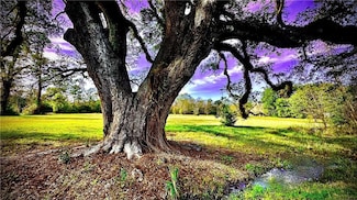 204 Magnolia St, Mandeville, LA 70448