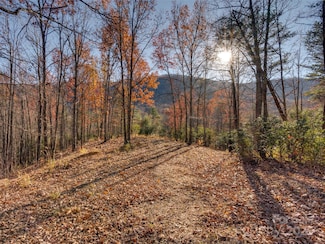 263 Nuthatch Ln, Black Mountain, NC 28711
