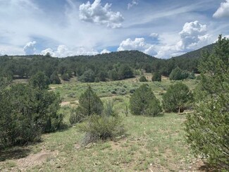 TBD Iron Mountain Wilderness Rd, Cotopaxi, CO 81223
